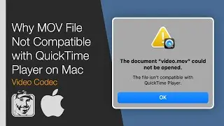 Почему файл MOV несовместим с QuickTime Player на Mac (видеокодек: анимация и Apple ProRes)