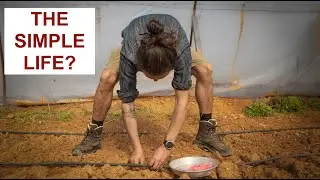 Ended up on a Farm | VAN LIFE GREECE