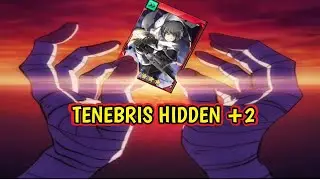 AKASHA Tenebris Hidden +2 Maxeada | Soulworker Zone