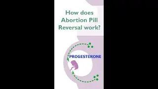 How does abortion pill reversal work?
