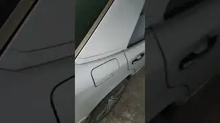 100 de lei în bac