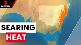 Vulnerable residents warned to stay inside as NSW heatwave pushes temperatures to 40C | 7NEWS