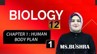 Biology 12 | Ms. Bushra | Chapter 1 : human body plan | Lesson #1