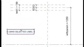 The difference between an Active Dimension and a Selected Label in the Revit Family Editor