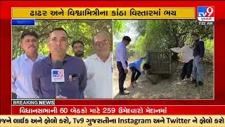Forest department set up traps to capture man-eating leopard in rural areas of Padra |Vadodara |TV9