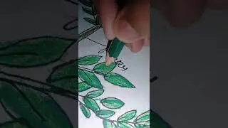 project a plant ☘️#🙃🙃