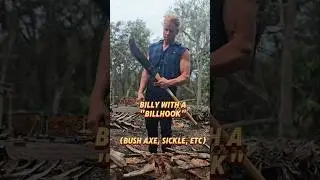 Chopping palm log in half with Bush Axe #axe #choppingwood #splittingwood #bushaxe #scythe #shorts
