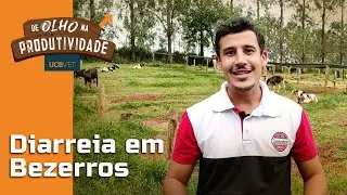 DE OLHO NA PRODUTIVIDADE - DIARREIA EM BEZERROS