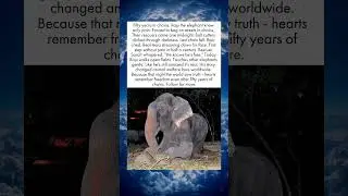 Raju's Tears