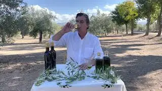 Vídeo presentación de la nueva cosecha del aceite premium Dominus Cosecha Temprana (2021/2022).