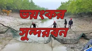 ভয়ঙ্কর সুন্দরবন 😱😱😱😱😱🏝️🏝️🏝️#trending #tredingvideo ##video #videoviral #unseensundarban #sundarban 