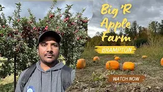 BigR Apple Farm Brampton 🍎 | Apple Picking & Fall Fun | Weekend Travel Vlog