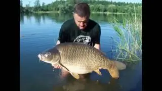 GoldRecord