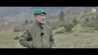 Le renard en haute montagne (Passion Chien Courant #11)