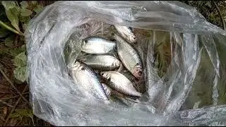 Pescar é terapia faz bem pra mente pegue peixe ou não.