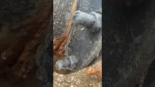 The Environment Agency said this sewage pipe is in &ldquo;good condition&rdquo;.  This sewage pipe is collapsing
