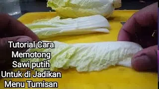 BEGINI TUTORIAL CARA MUDAH DAN GAMPANG MEMOTONG SAWI PUTIH UNTUK DI JADIKAN MASAKAN TUMIS SAWI PUTIH