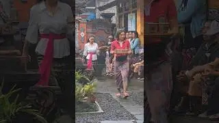 Tradisi Adat Budaya Bali‼️#balineseculture #balinesetradition