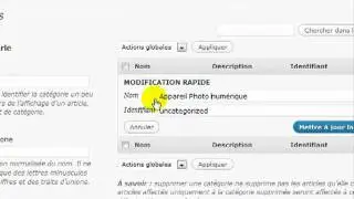 Blog Wordpress: cr&eacute;er son premier article optimis&eacute; pour les moteurs de recherche