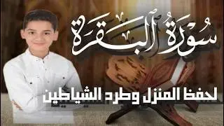 سورة البقرة كاملة 🤍 | تلاوة خاشعة تشرح الصدر وتملأ القلب طمأنينة