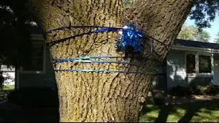 Blue ribbons show appreciation to local cops