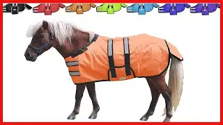 Derby Originals 600D Ripstop Waterproof Reflective Safety Winter Foal and Mini Horse Turnout Blanket
