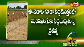 Sakshi Sagubadi | Fake Seeds Problems For Farmers | Fake Seeds In Telangana | Sakshi TV