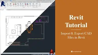 Revit Tutorial | How to Import & Export CAD files in Revit
