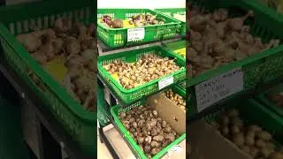 Madurai Meenakshi Store|| Salalah|| மதுரை மல்லி மற்றும் அனைத்து கீரை வகைகள்|| #salalahoman #salalah