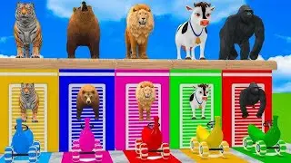 Long Slide Game With Cow Elephant Gorilla Hippopotamus Tiger 3d Animal Game Funny 3d Animals