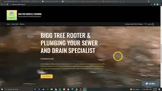 Big Tree Rooter, san jose plumber