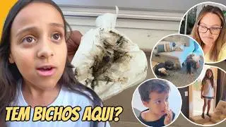 Um vlog diferente: UM bicho invadiu a nossa casa e a Lara chorou no final 