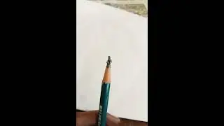 Pencil carving  (2 hearts)