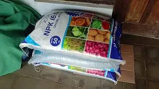 BENIH SDH READY 220 KG#bawangmerahponorogo