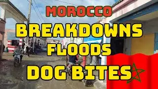 Van Breakdown, Speeding Ticket & Rabies Scare 😱 | Morocco Vanlife Vlog
