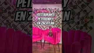 Restaurante petfriendly que tienes que conocer 🐾