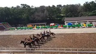 20190126 110606