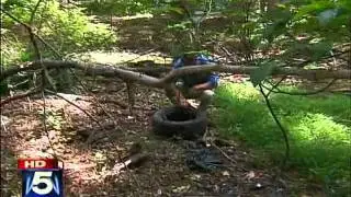MyFoxDC - The 5 t's - Mosquito Squad of Northern Virginia (NVA) 703-928-9564