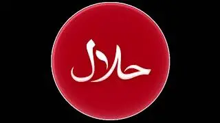 Halal Japan Scanner app