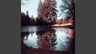 Vacillation-3