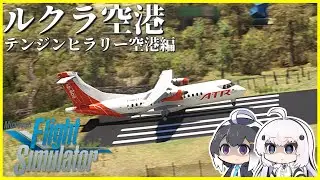 世界一危険な空港と言われるルクラ空港（テンジンヒラリー空港）に着陸！【ネパール・トリブバン国際空港→ルクラ空港】