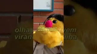 Será que eu não sou jovem?