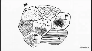 The Creative Algorithm - On Evolvability and Behavior Landscapes in NE Divergent Search