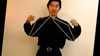 Raymond's Phoenix Linking Coat Hangers