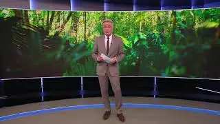Het meest bedreigde bos van Brazili&euml; is niet de Amazone