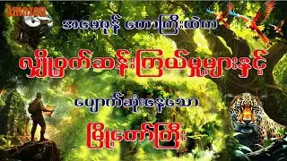 အမေဇုန်တောကြီးထဲက လျှို့ဝှက်ဆန်းကြယ်မှုများနှင့် ပျောက်ဆုံးနေသော မြို့တော်ကြီး/ The Lost City of Z