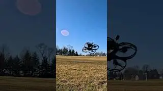 FPV drones zipping by #fpvdrone #drone #shorts