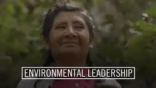 The Qualifications of an Environmental Leader