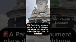 🚨A Paris le monument place de la r&eacute;publique tagu&eacute; par un drapeau Palestinien par des LFI 😱😱😱