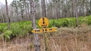 Hike in Hal Scott Regional Preserve